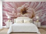 Fotobehang slaapkamer Close-up roze chrysant_320397882_ds